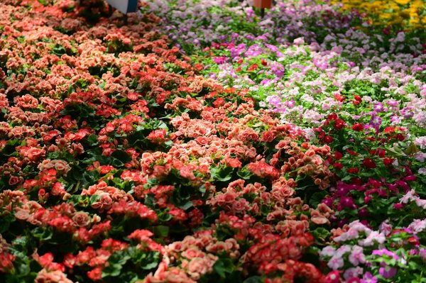 Créer un confort thermique durable : le rôle incontournable d'un installateur chauffagiste à argences